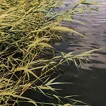 Letnisko21- Caloroczny Domek Z Jacuzzi 別荘 *