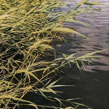 Letnisko21- Caloroczny Domek Z Jacuzzi בית נופש *