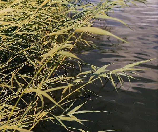 Letnisko21- Caloroczny Domek Z Jacuzzi بيت للعطل *